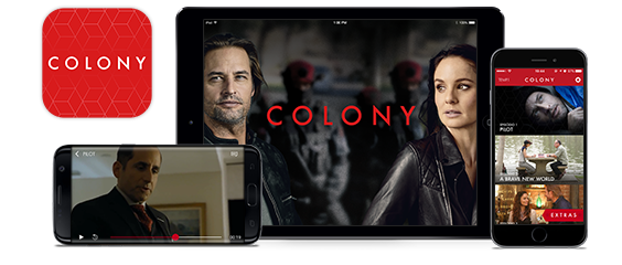 Colony